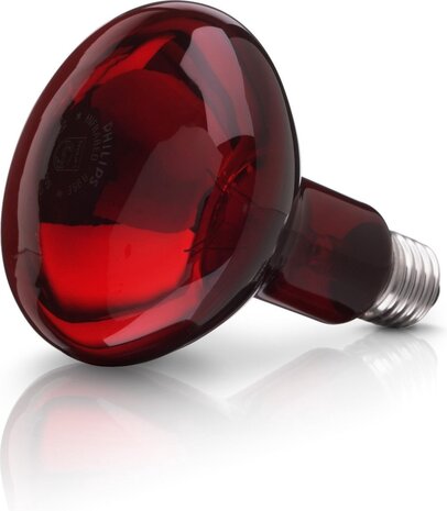 Beurer Beurer IL11 Beurer Beurer IL11