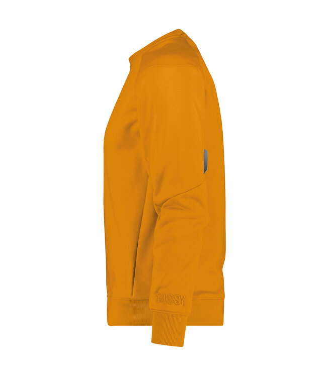 DASSY Dolomiti Werktrui Sweater Geel