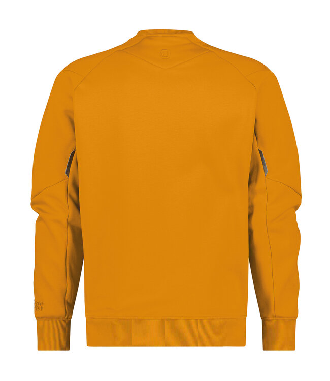 DASSY Dolomiti Werktrui Sweater Geel