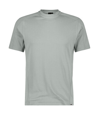 DASSY DASSY Fuji T-shirt Lichtgrijs