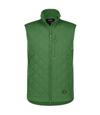 DASSY DASSY Yala Bodywarmer Groen