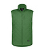 DASSY Yala Bodywarmer Groen