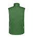 DASSY Yala Bodywarmer Groen