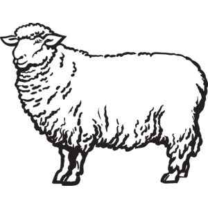 DIY KIT - PROJECT BAG AND PATTERN DIY KIT - PROJECT BAG AND PATTERN