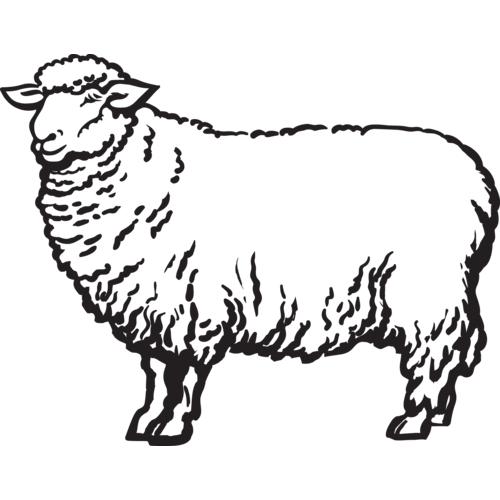 DIY KIT - PROJECT BAG AND PATTERN DIY KIT - PROJECT BAG AND PATTERN