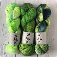 THREE SKEIN FADE - SWAMPY