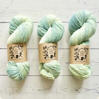 ORGANIC MERINO - SPRING TEAL 1