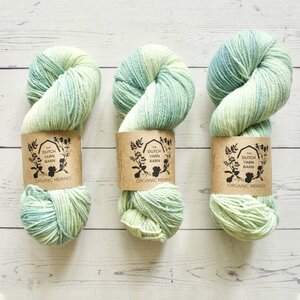 DUTCH YARN BARN ORGANIC MERINO - SPRING TEAL 1