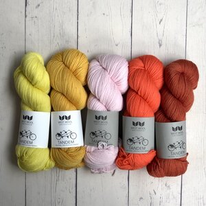 Westknits WK PAINTING BRICKS SWEATER - KIT 3