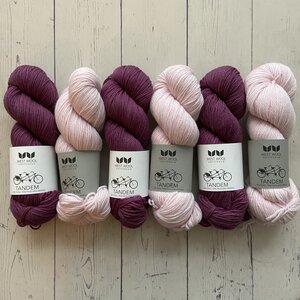 Westknits WK ASKEWS ME SHAWL - KIT 3