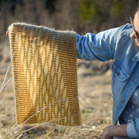 SHEDDING LIGHT by BRISTOL IVY