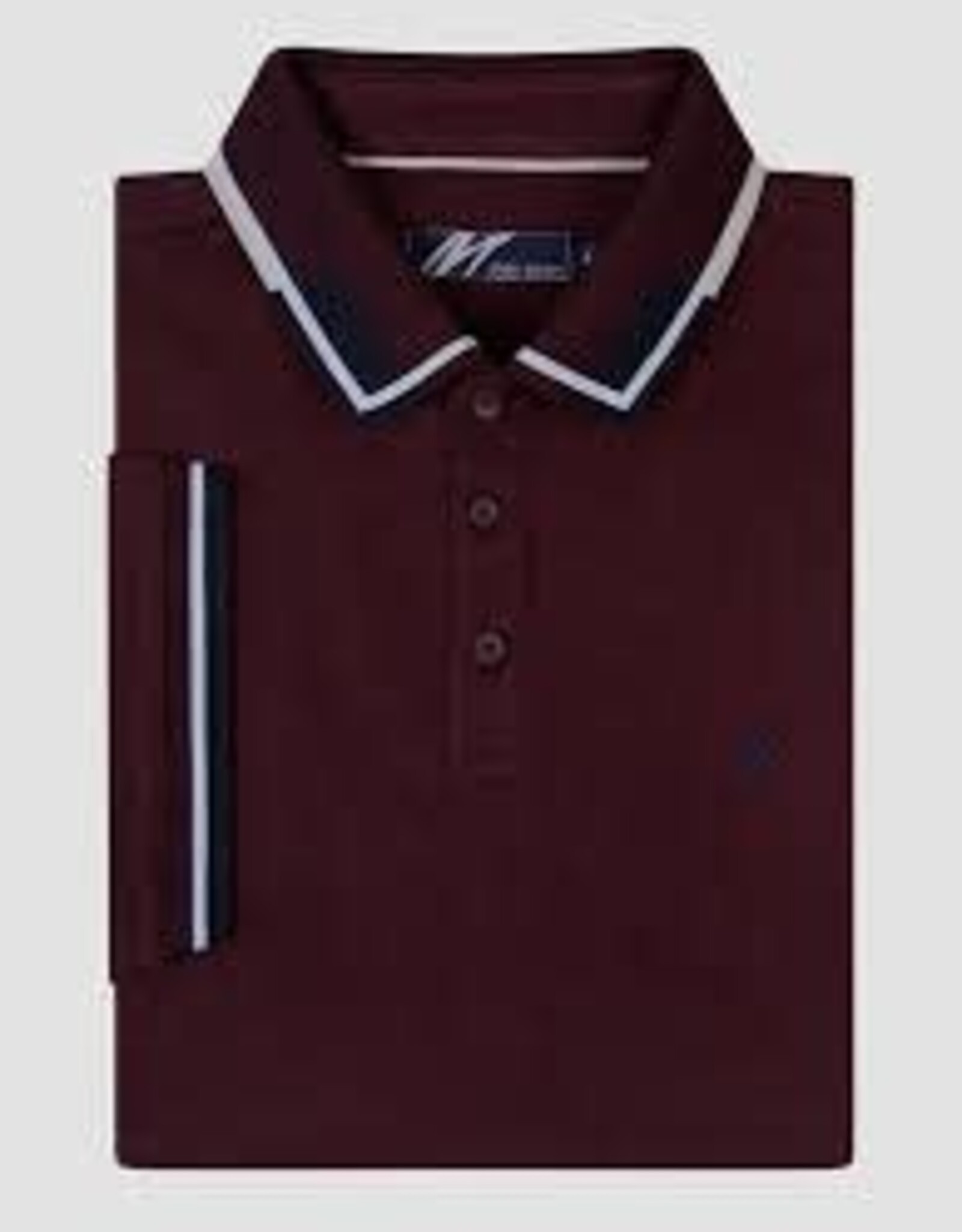 Mish Mash carlo polo