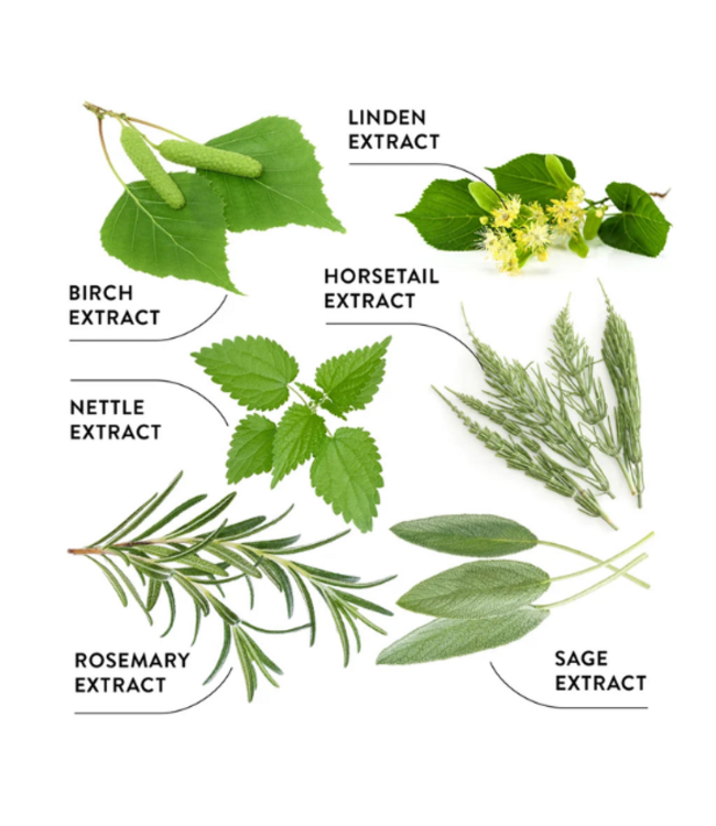 Ecodenta Multifunctional 7 Kruiden Tandpasta - 100 ml