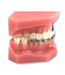 GUM Ortho Wax - voor beugels
