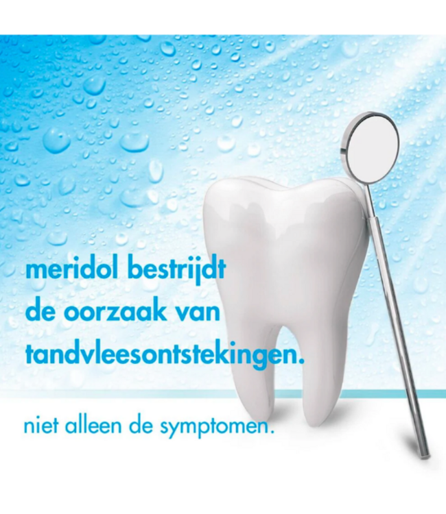 Meridol Mondspoeling Tandvleesbescherming - 4 x 400 ml