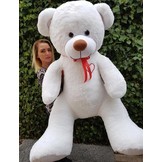 Grote witte teddybeer - i love you - 160cm