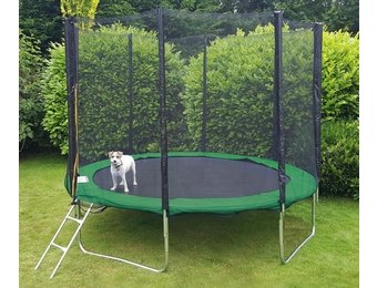 Groene trampoline - 366 cm - inclusief veiligheidsnet & ladder - draagvermogen 150 kg