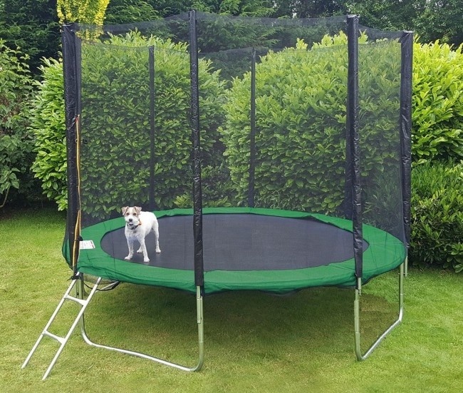 Groene trampoline - 366 cm - inclusief veiligheidsnet & ladder - draagvermogen 150 kg