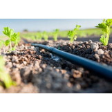 Druppelslang - 100 m - compleet irrigatiesysteem