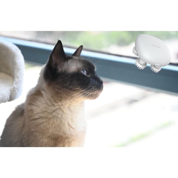 Mini-Massagegerät für Ganzkörper - jetzt bis zu 35% Outlet-Rabatt sichern!