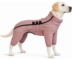 Outlet Deal: Warmer Hundemantel Beine, wind- & wasserdicht, bis zu 35% Rabatt