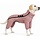 Outlet Deal: Warmer Hundemantel Beine, wind- & wasserdicht, bis zu 35% Rabatt
