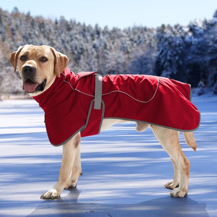 Warmer, wasserdichter Hundemantel mit Fleece-Futter - Jetzt bis zu 35% reduziert!