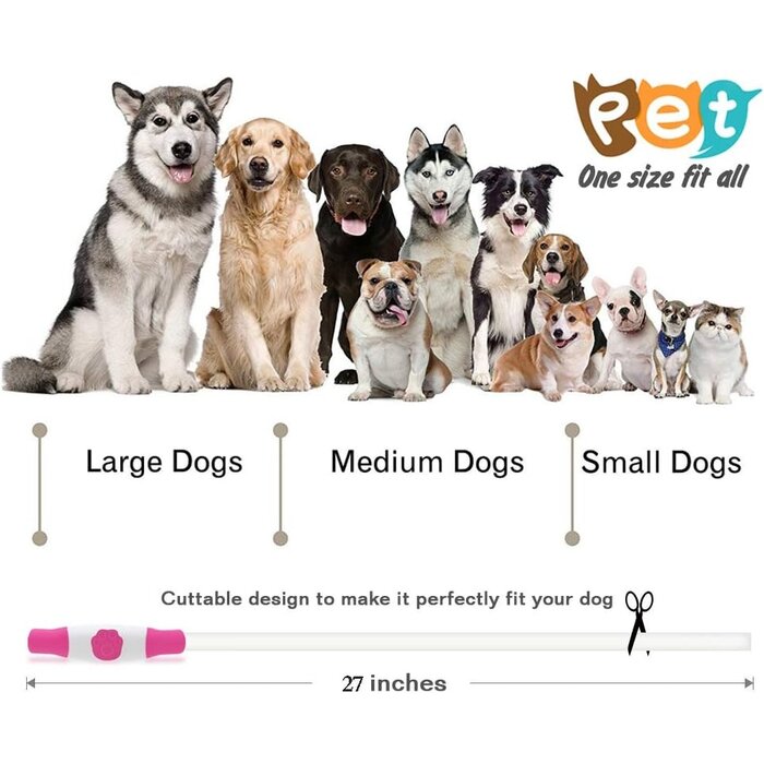 LED-Hundehalsband 2er-Set: Sicher & zuschneidbar - Jetzt bis zu 35% sparen