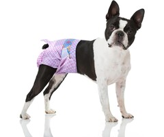Hundewindeln Gr. M (20 Stk.) Rosa Karo - Schutz & Komfort bis zu 35% reduziert