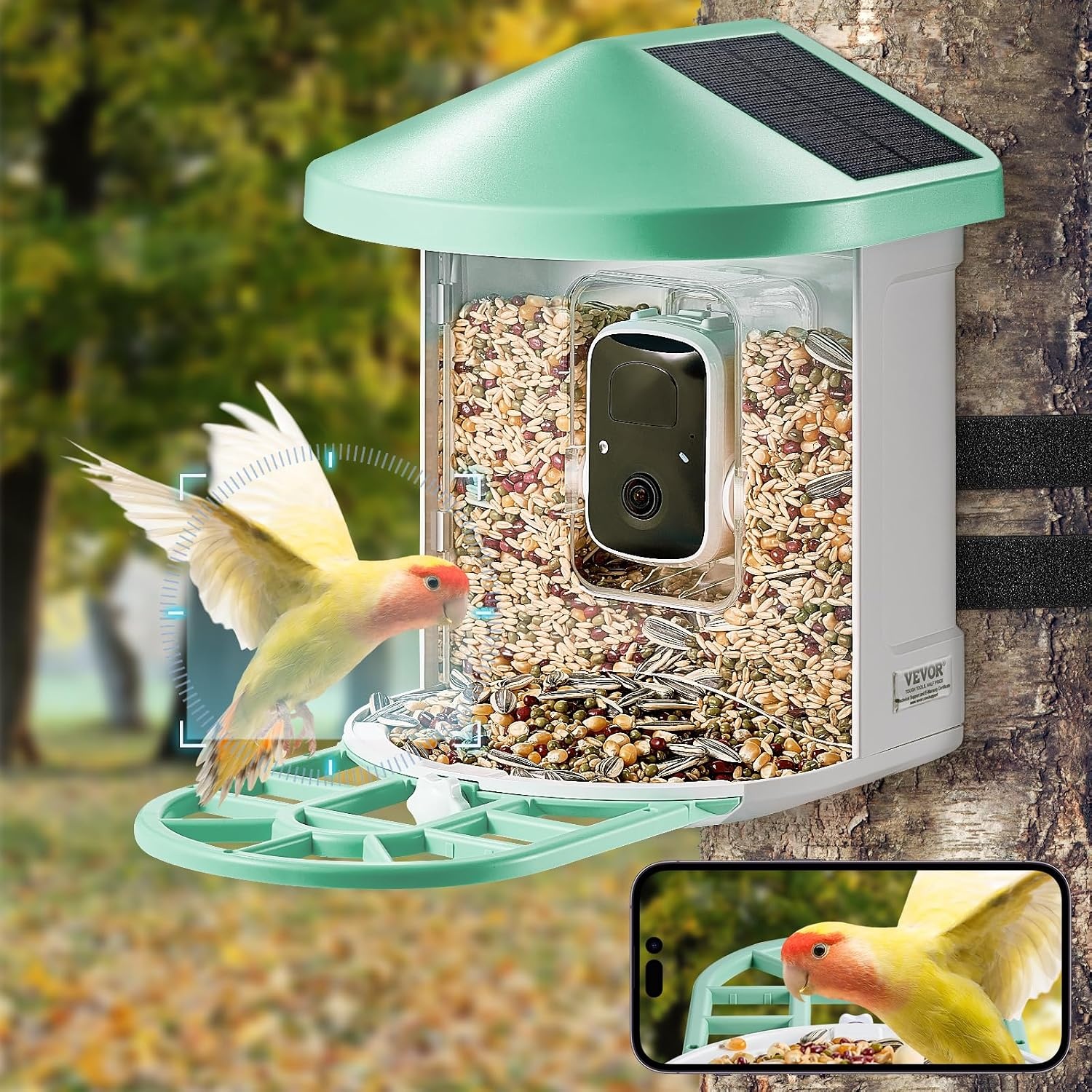Smarte Vogel-Futterstation mit 2K Kamera & KI - bis zu 35% Rabatt