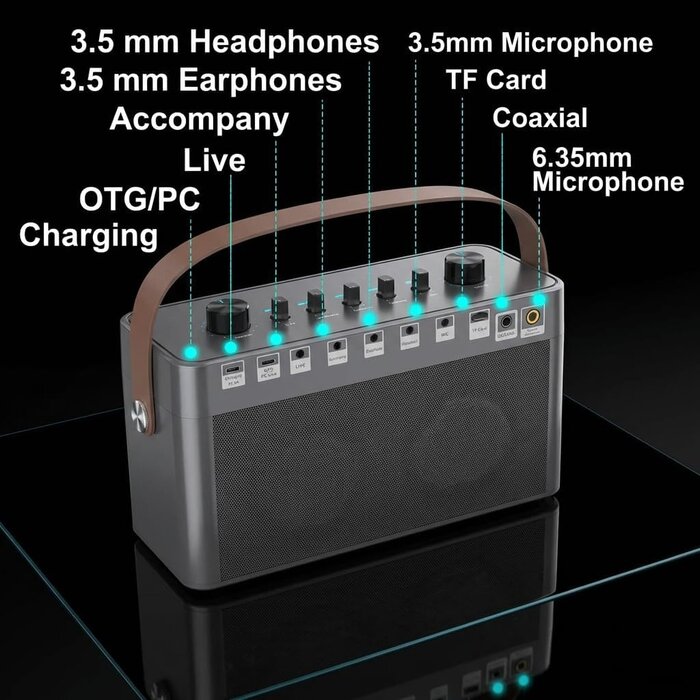 Tragbarer Bluetooth Karaoke-Lautsprecher mit LED - Jetzt bis zu 56,9% günstiger