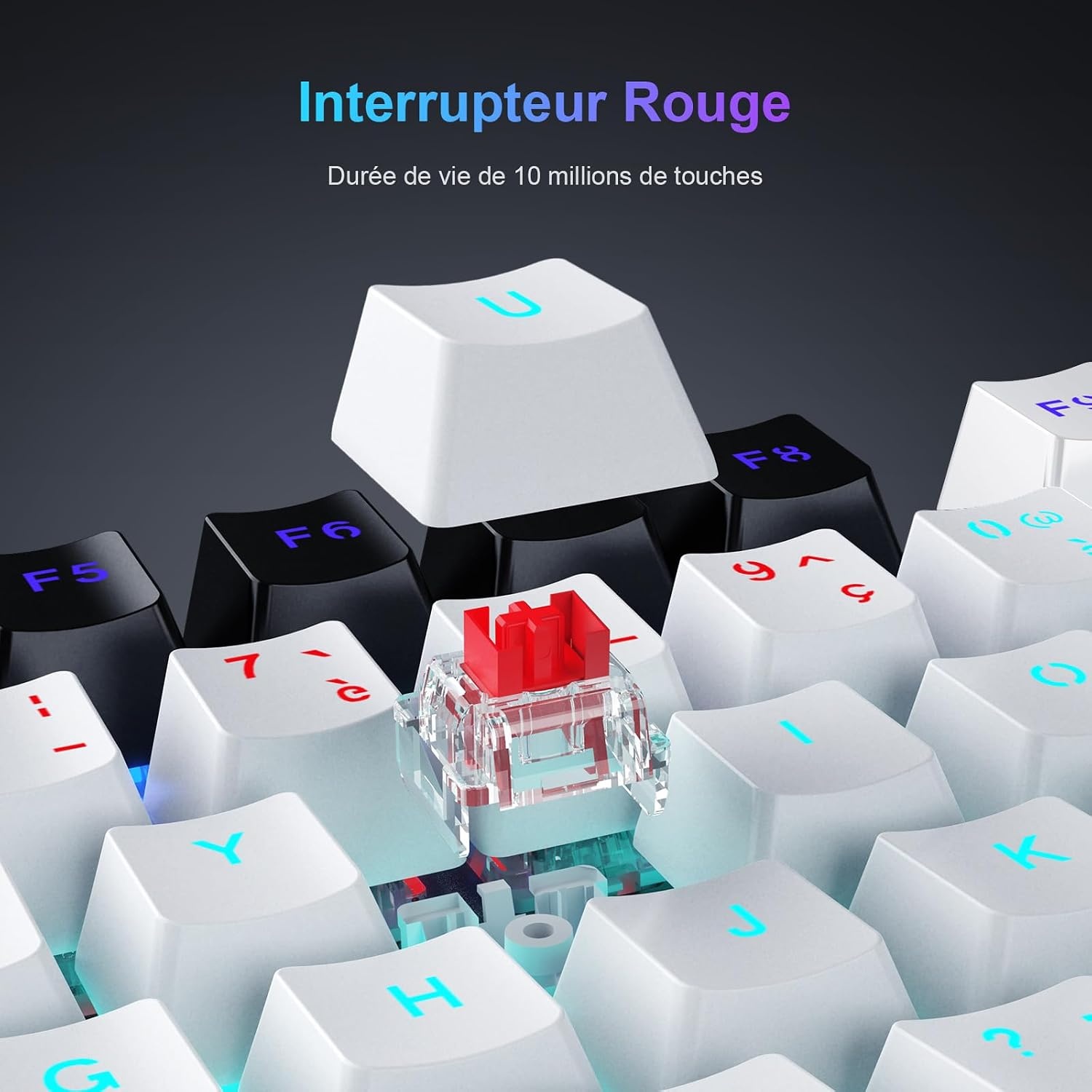 Mechanische Gaming-Tastatur TKL AZERTY - Jetzt bis zu 75,6% reduziert!