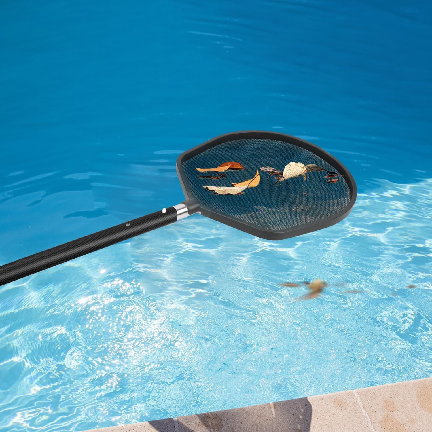 Pool-Kescher für sauberes Wasser - bis zu 75% sparen!