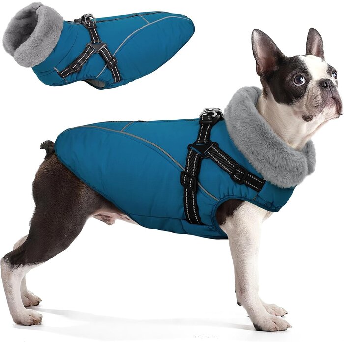 Warmer Hundewintermantel XL mit Geschirr - Wasserdicht & reflektierend, bis zu 67%