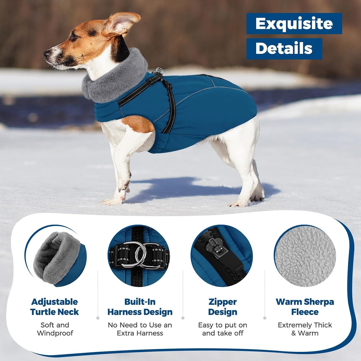 Warmer Hundewintermantel XL mit Geschirr - Wasserdicht & reflektierend, bis zu 67%