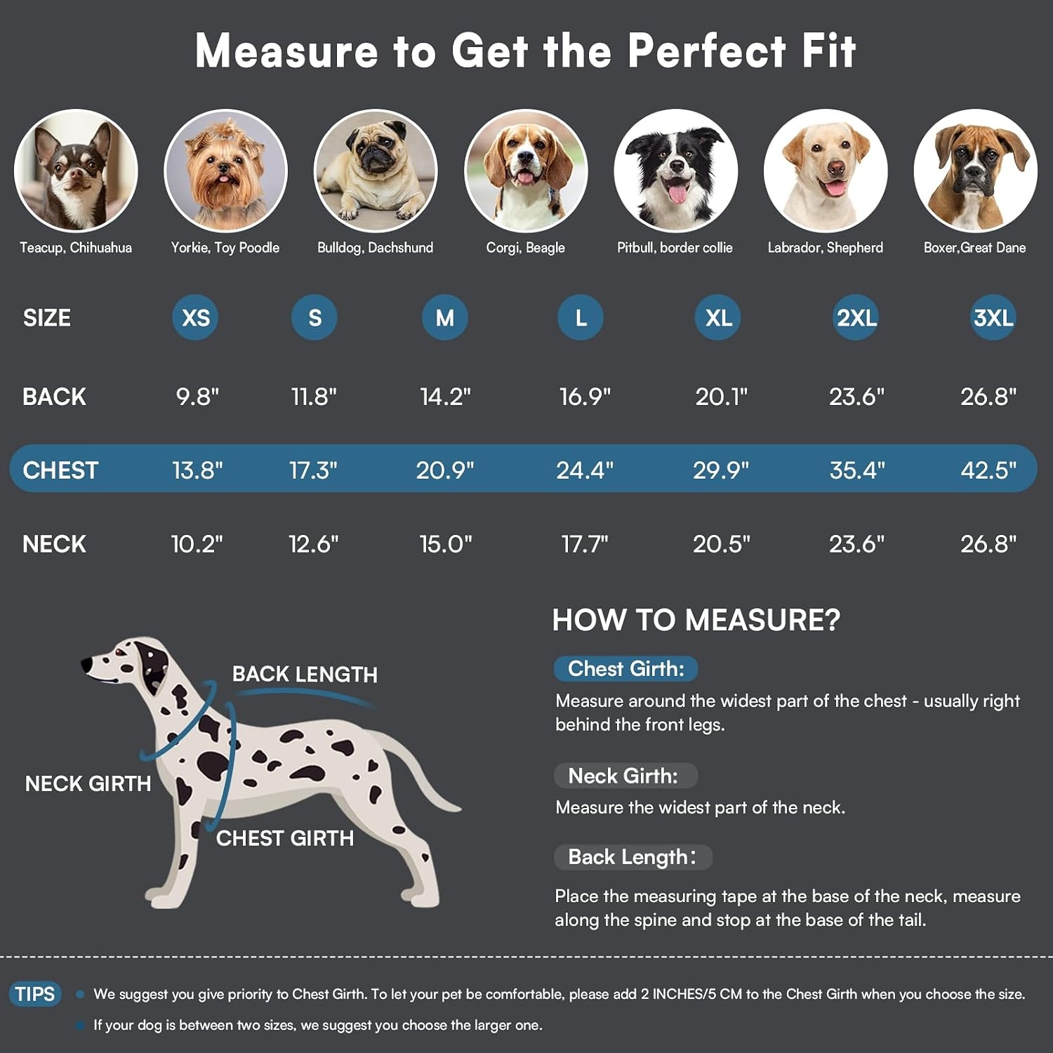 Warmer Hundewintermantel XL mit Geschirr - Wasserdicht & reflektierend, bis zu 67%