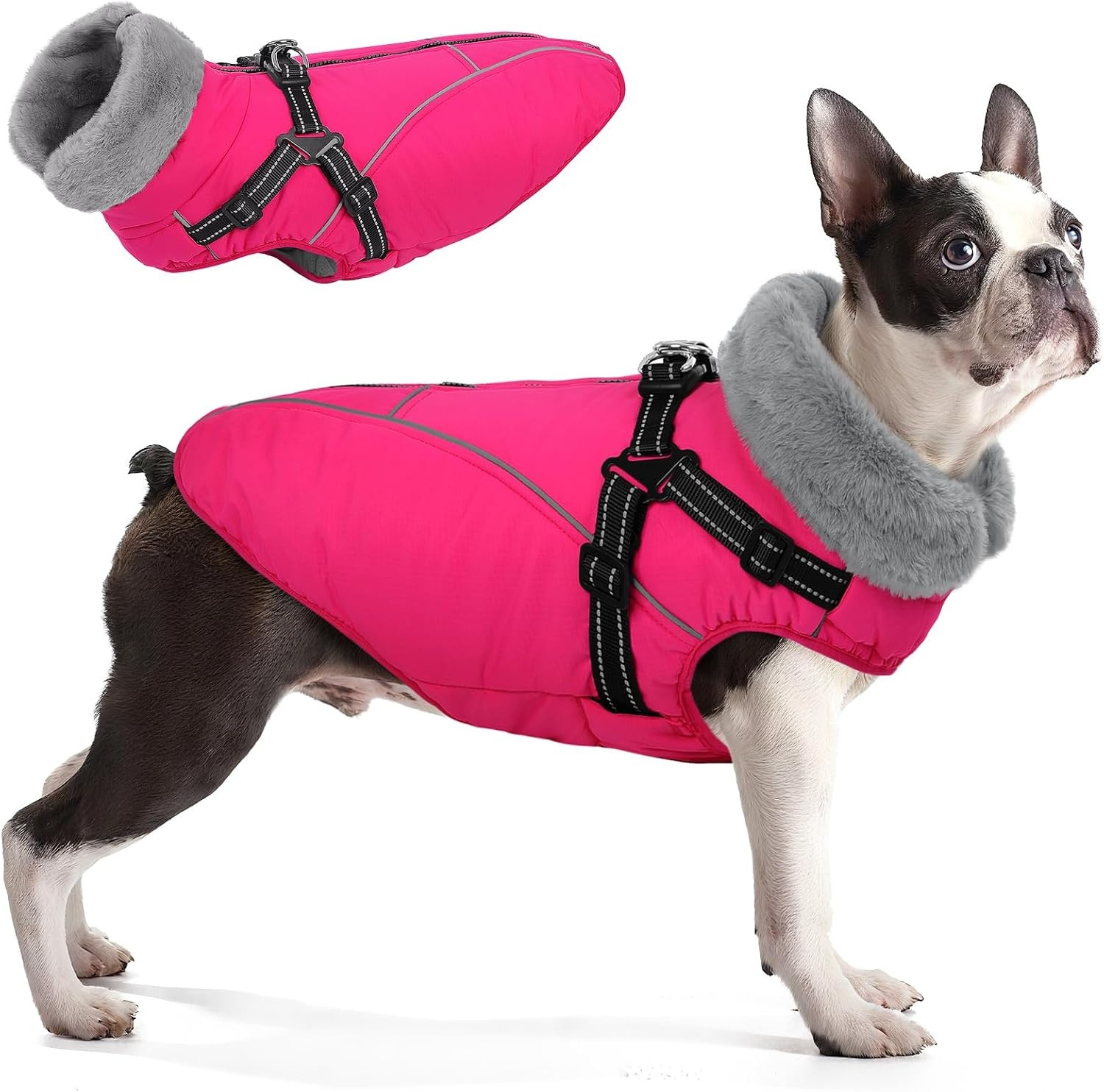 Warmer Hundewintermantel XL mit Geschirr - Wasserdicht & reflektierend, bis zu 67%