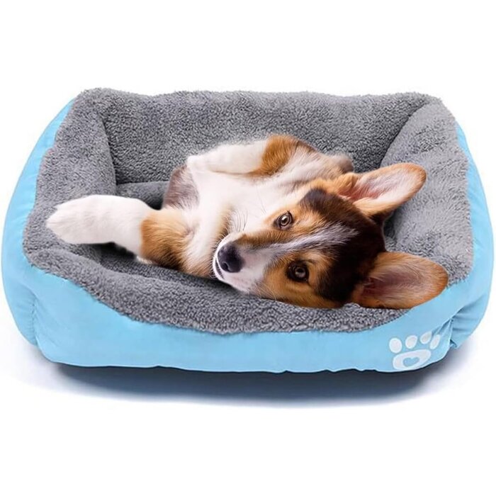 Selbstwärmendes Haustierbett 60x40cm - Blau - Outlet bis zu 62% Rabatt