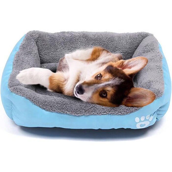 Selbstwärmendes Haustierbett 60x40cm - Blau - Outlet bis zu 62% Rabatt