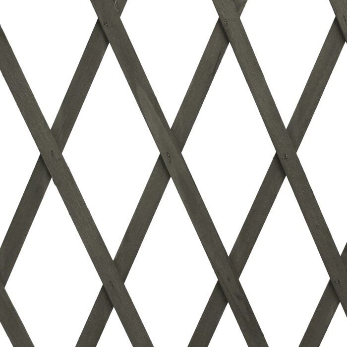 Ausziehbares Gartenspalier Fichte Grau 180x100 cm - Sparen bis zu 47,2 %
