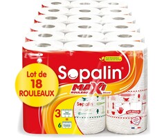 Dekorative Küchenrolle 18 Maxi-Rollen - 2-lagig & extra saugstark - bis zu 48%