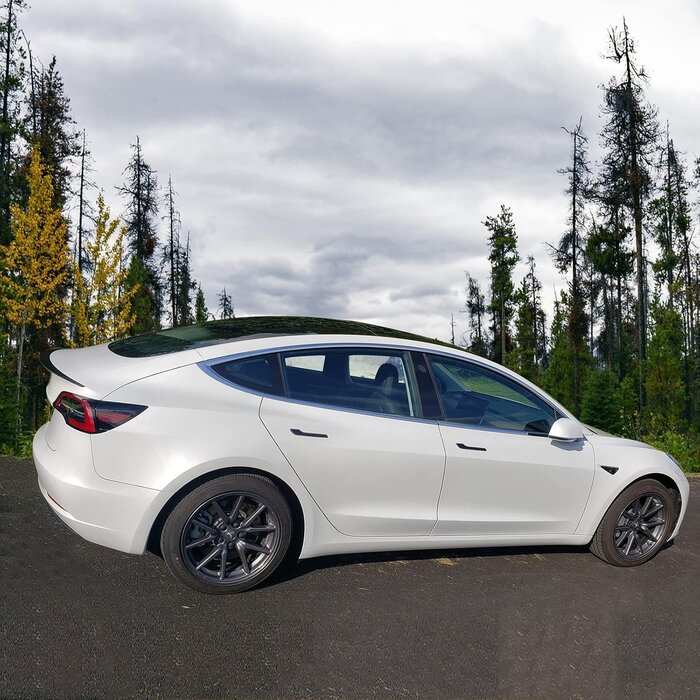 Bonryan Heckspoiler für Tesla Model 3 in Carbon-Optik - Jetzt bis zu 61% Rabatt