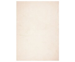 Vidaxl Kurzflorteppich Beige 200x280 cm - jetzt bis zu 41% sparen