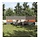 Camping-Windschutz 490x123cm, wasserdicht, Grau/Orange - bis zu 32,6% Rabatt