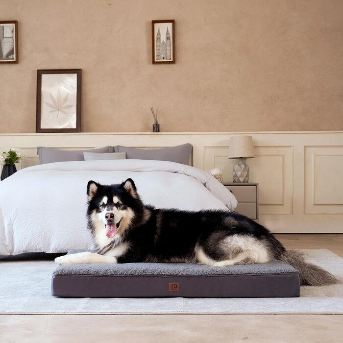 Orthopädisches Hundekissen 76x51cm - Gelenkschonend - Bis zu 65% Rabatt
