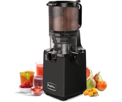 Slow Juicer Edelstahl - 250W - BPA-frei - bis zu 41% Rabatt