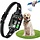 Kabelloses GPS-Hundezaunsystem - 2000m Reichweite - Jetzt bis zu 30% Rabatt