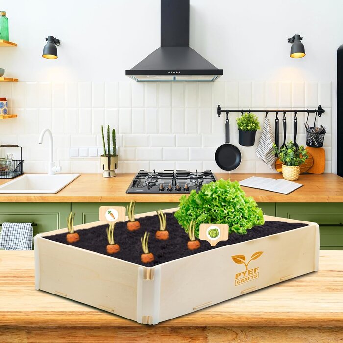 Mini-Garten-Set für Kinder - Indoor-Pflanzset mit Zubehör - bis zu 30% sparen