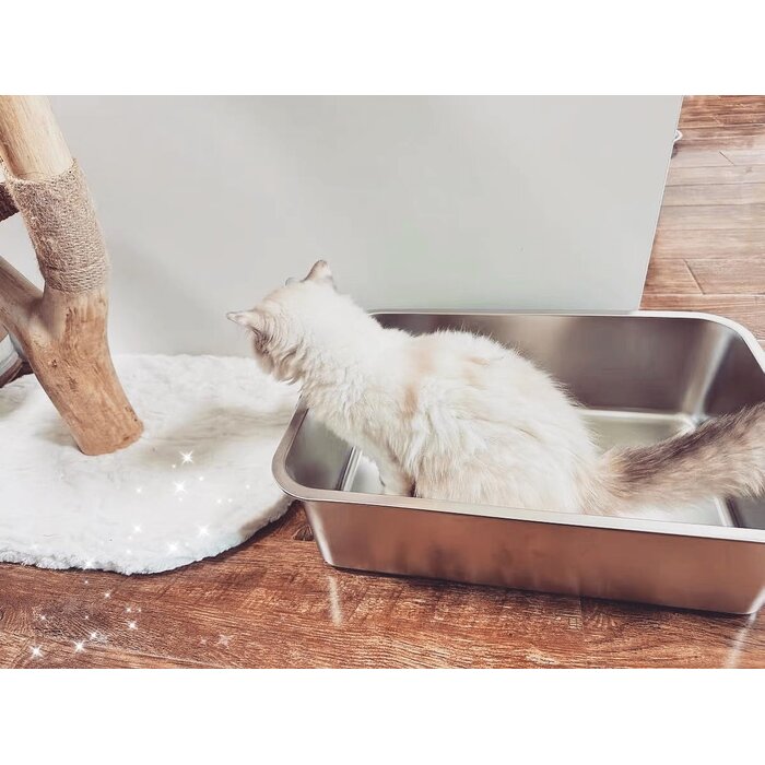 Edelstahl-Katzentoilette: Hygienisch & Langlebig - bis zu 39% günstiger