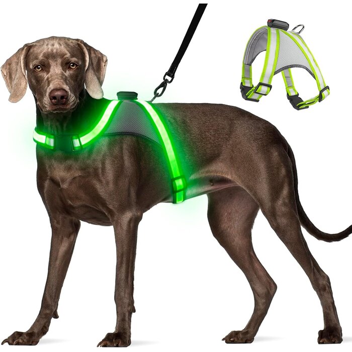 Leuchtendes Hundegeschirr M Grün - Anti-Zug - Bis zu 26% günstiger